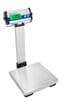 CPWplus Bench and Floor Scales-CPWplus 6P
