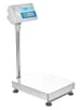 BCT Advanced Label Printing Scales-BCT 660a