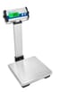 CPWplus Bench and Floor Scales-CPWplus 75P
