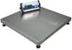 CPWplus Bench and Floor Scales-CPWplus 200M