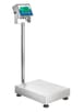 Gladiator Approved Washdown Scales-GGF 150AM