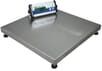 CPWplus Bench and Floor Scales-CPWPLUS 35M